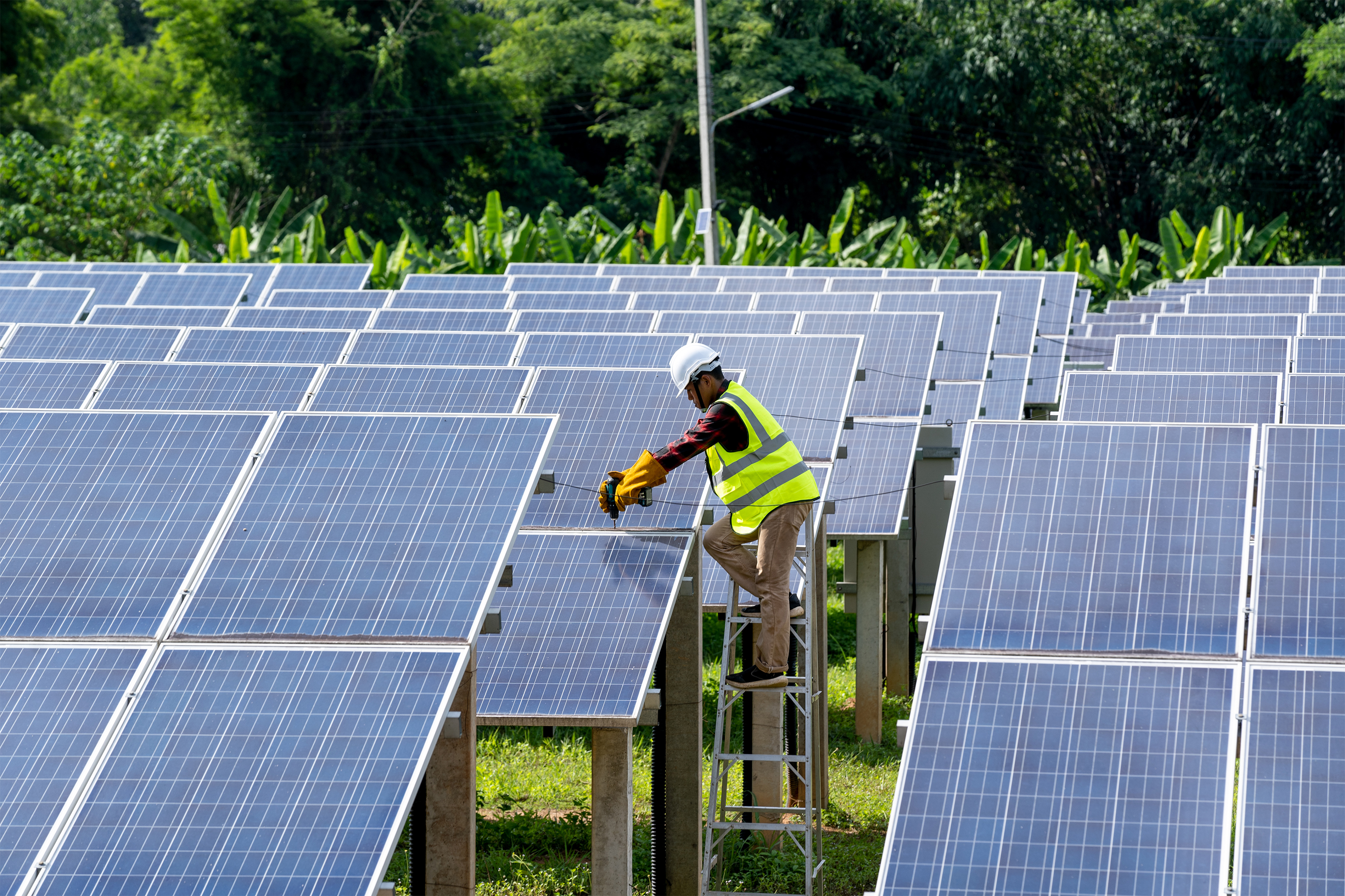 11 Best Solar Companies