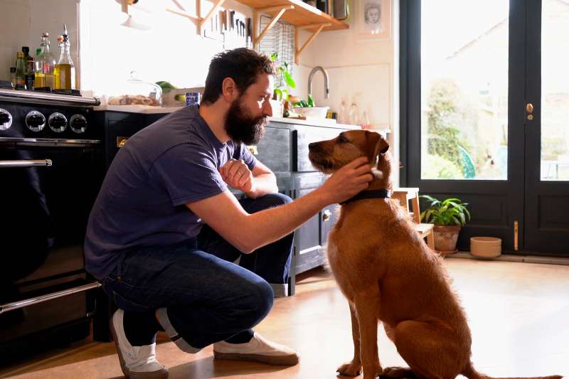 man petting dog in kitchen