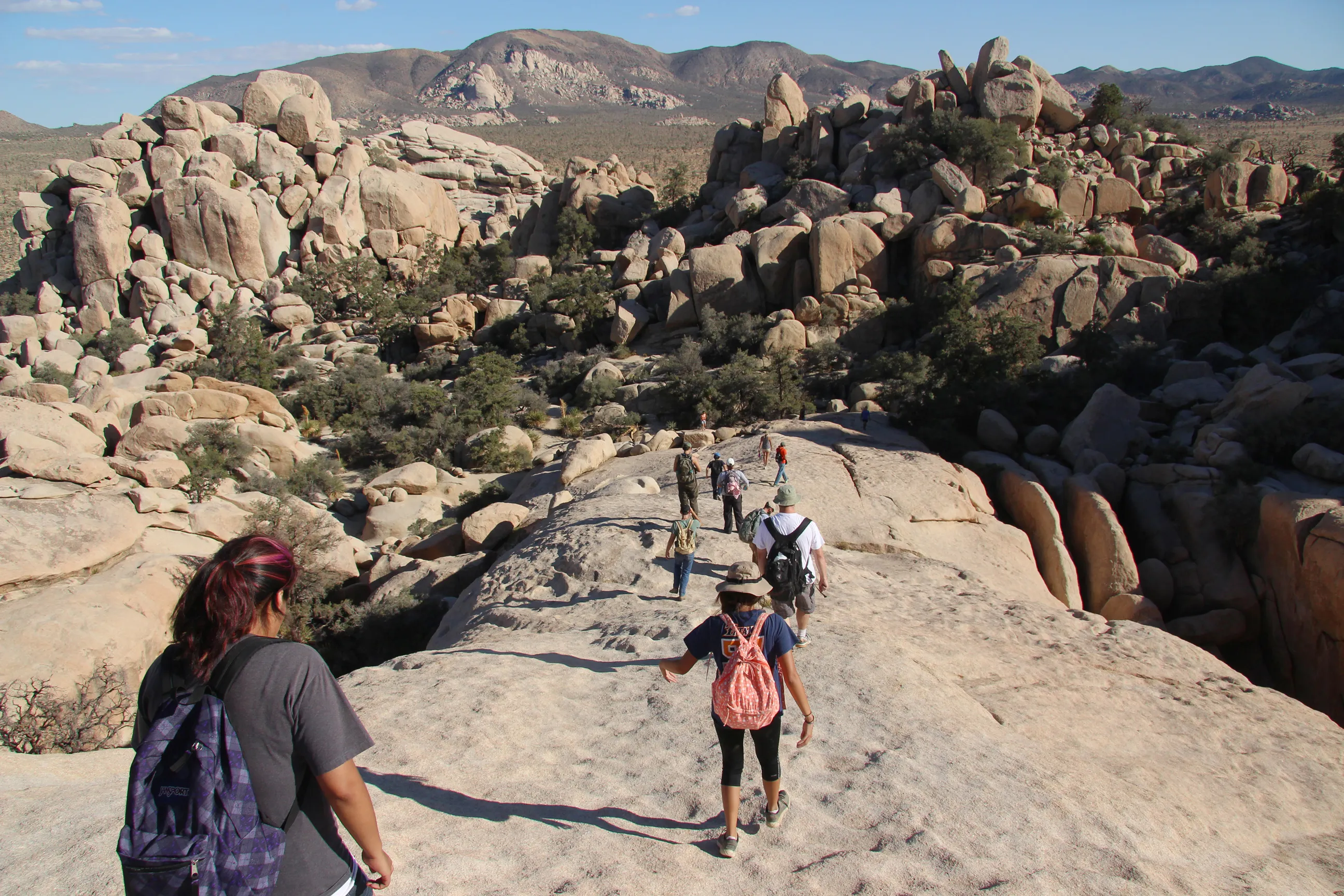 Joshua Tree, California