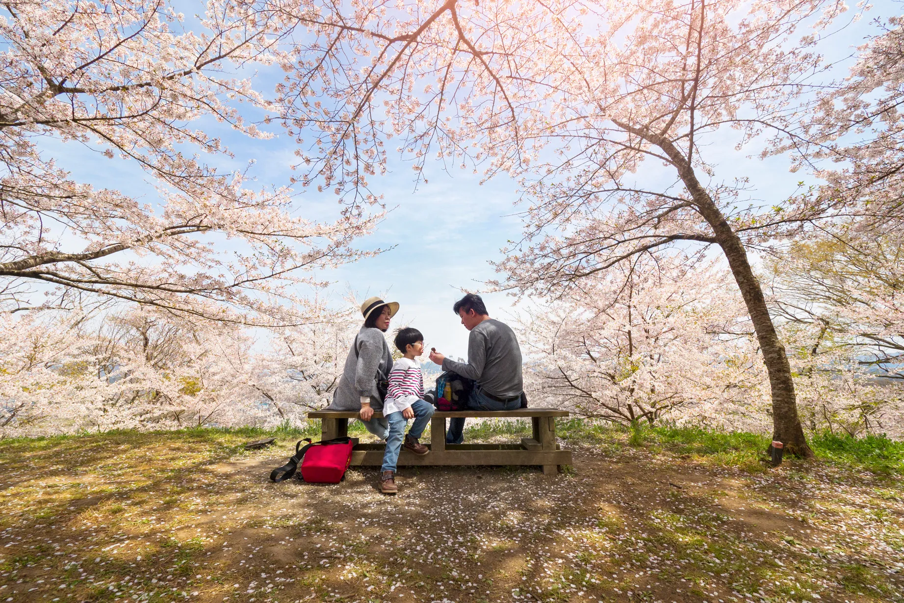 Japan's Eight Must-Visit Museums: Art Meets Nature - Japan Travel