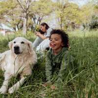 Young boy playing outside on the grass with their golden retriever