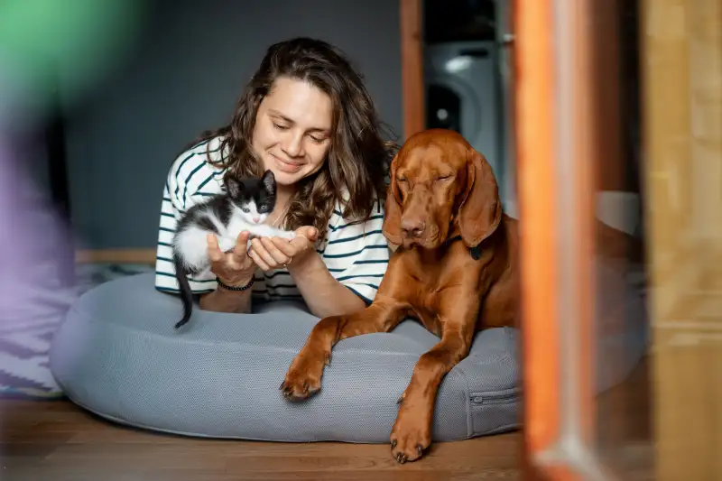 Woman holding a kitten while laying next to a dog