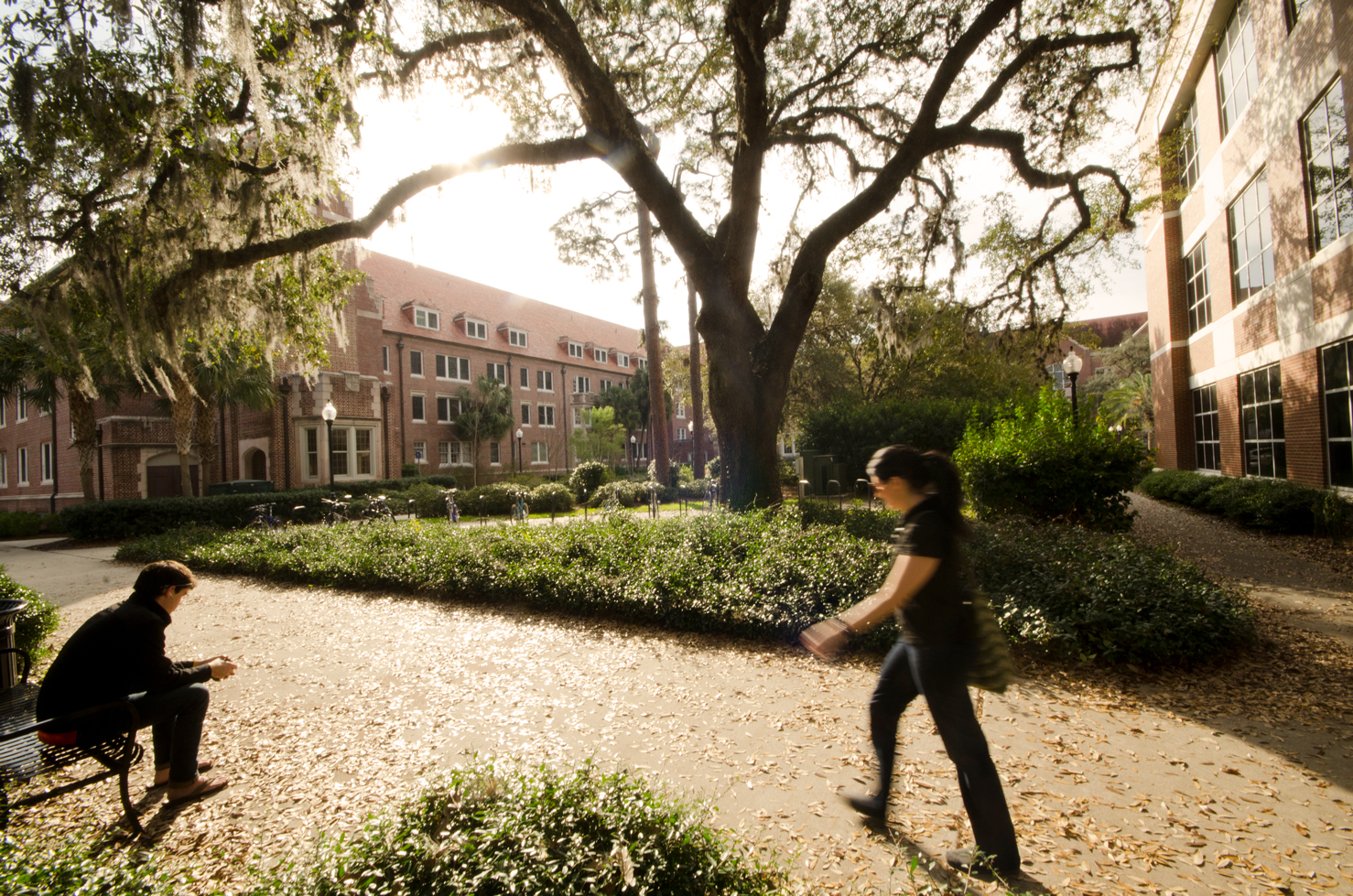 A woman walking across campus at the University of Florida