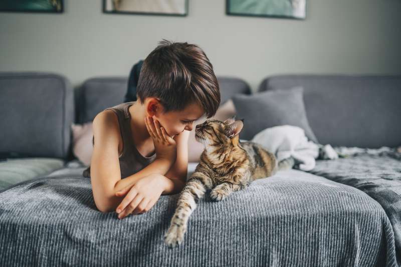 Young boy laying on a couch with his cat