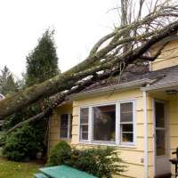 House damaged by a fallen tree due to a storm