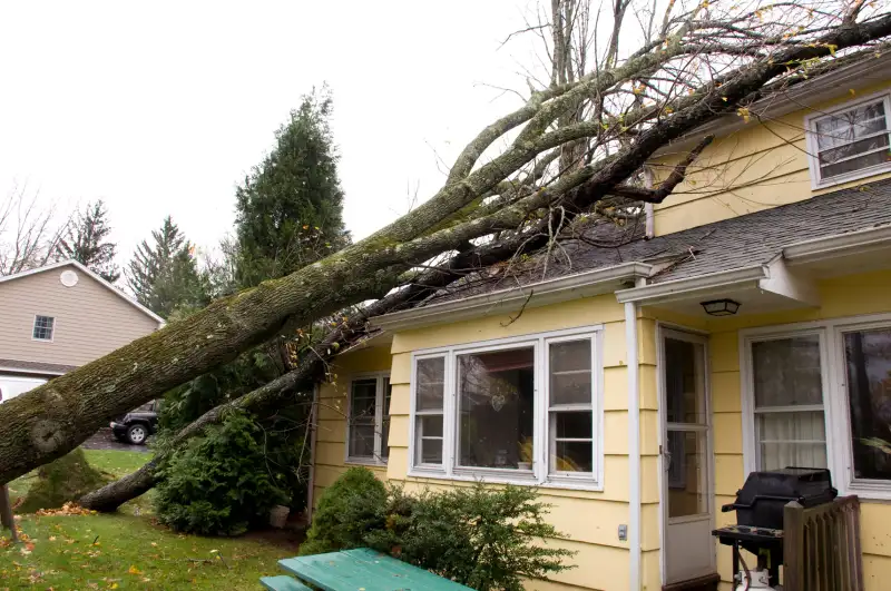 House damaged by a fallen tree due to a storm