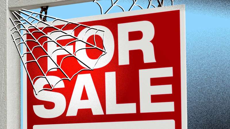 For Sale sign with illustrated spiderwebs on top