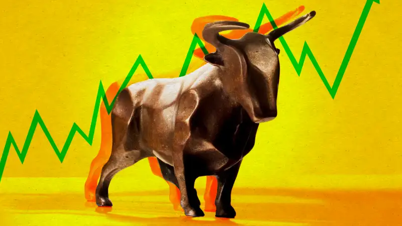 Photo collage illustration depicting the bull market