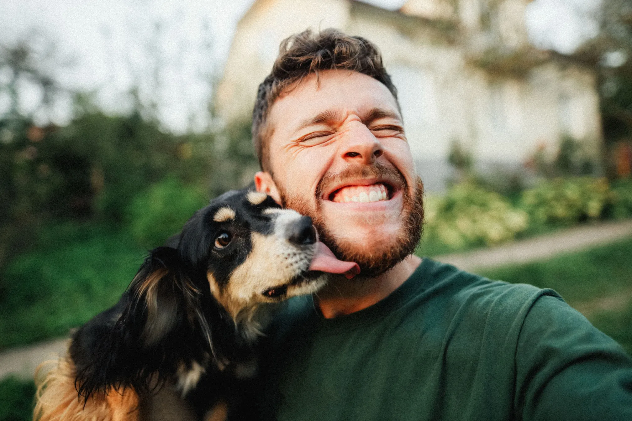 AKC Pet Insurance Review | Money AKC Pet Insurance Review | Money