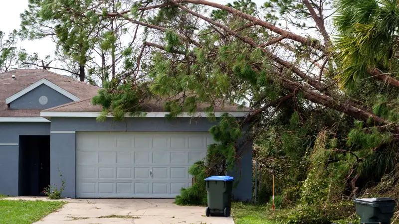 House battered by hurricane damage