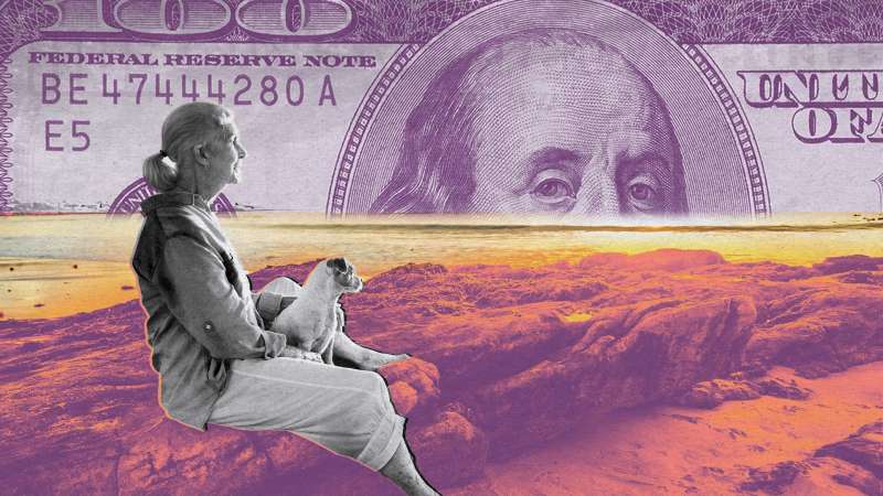 Photo collage of a mature woman looking at the sunset with a giant dollar looming