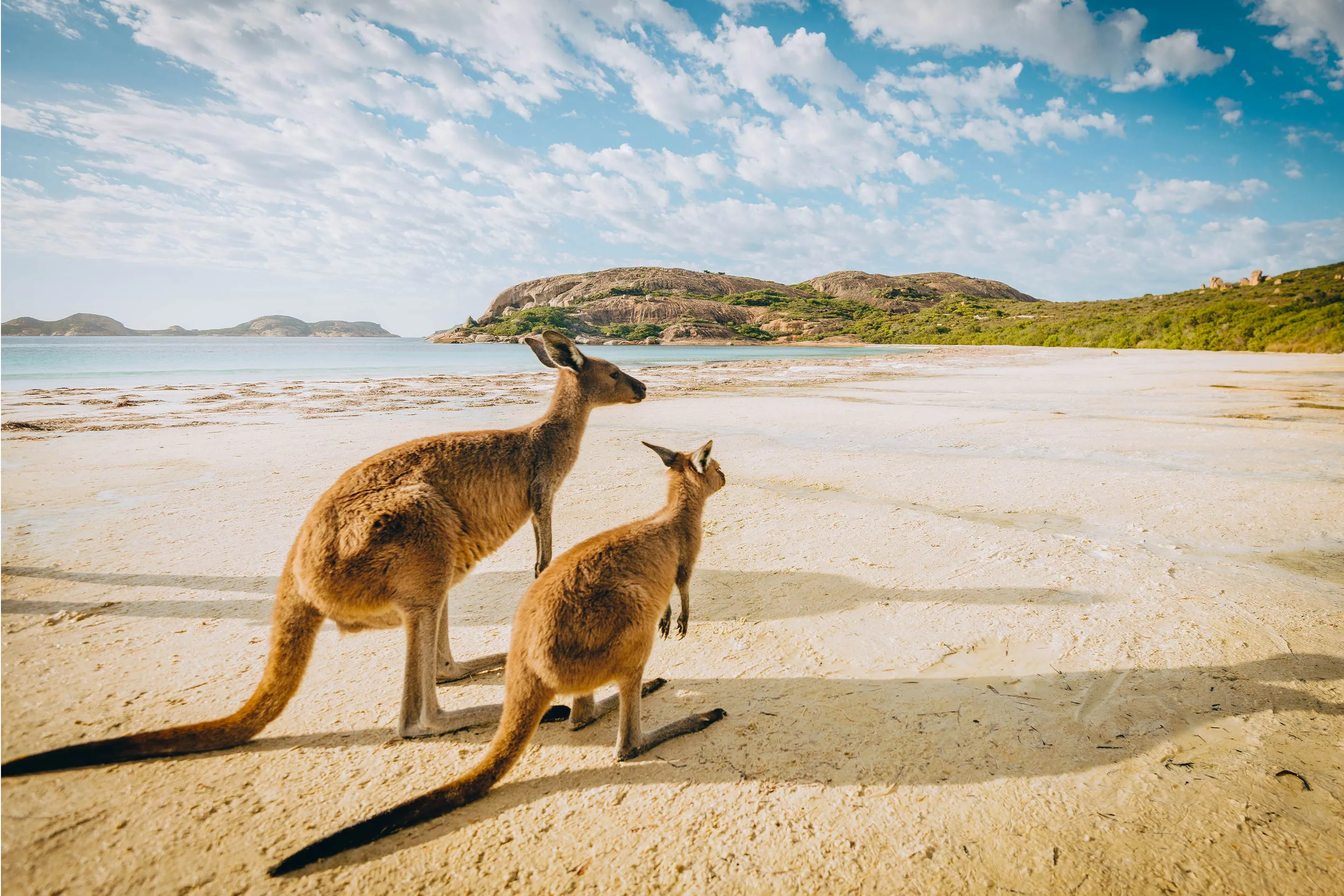 different ways to travel to australia