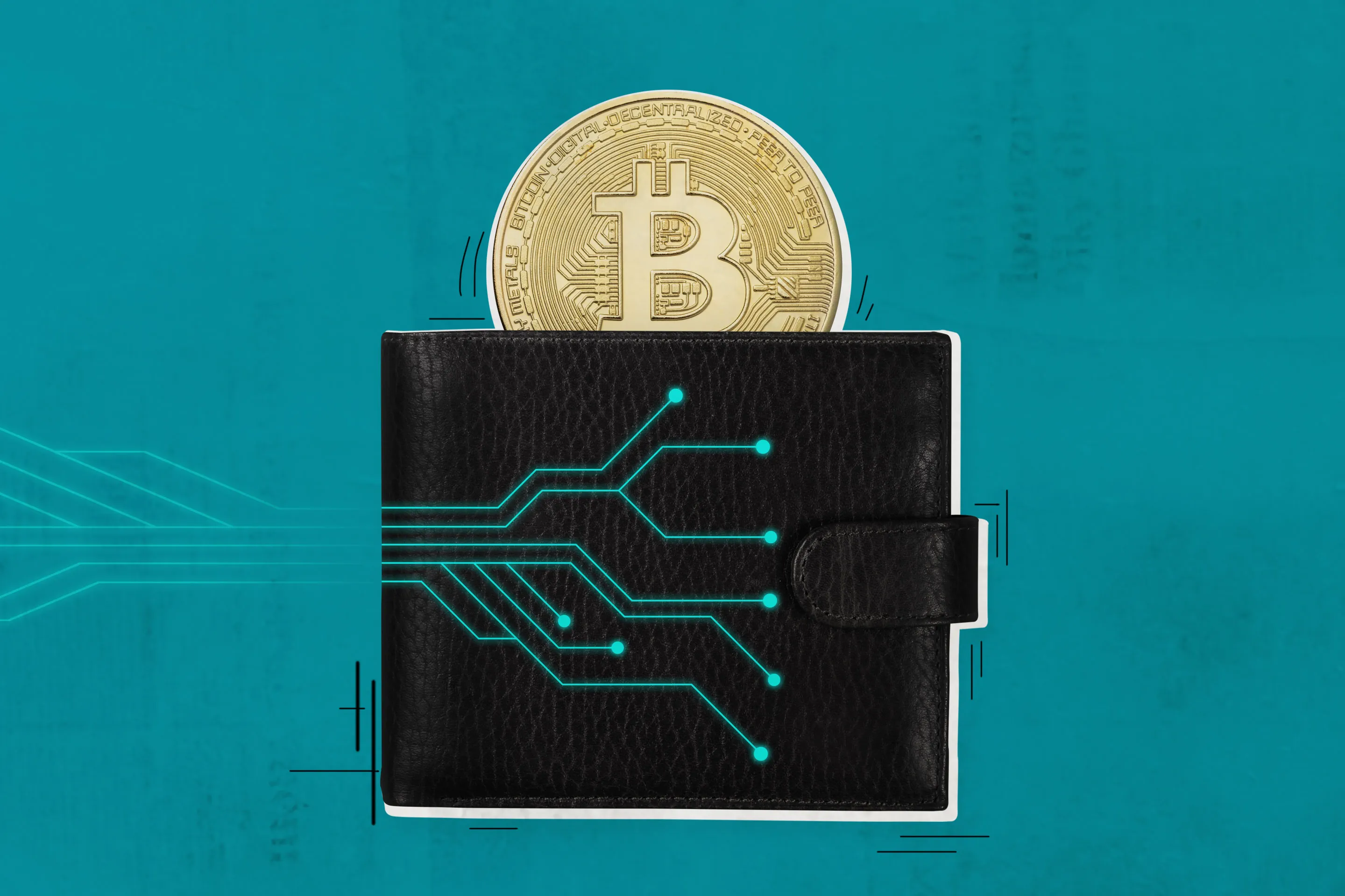 8 Best Crypto Wallets of August 2025