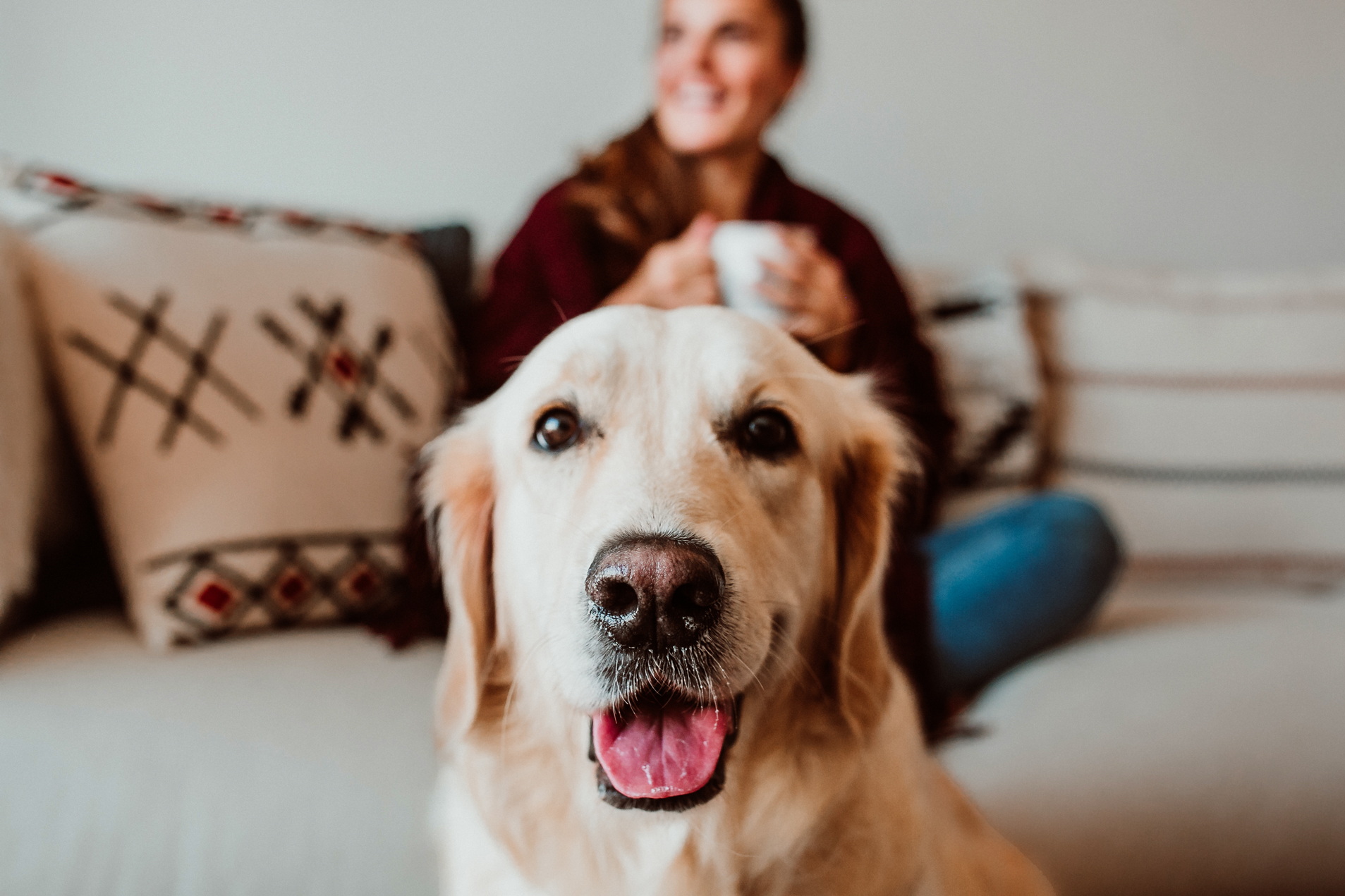 Best Pet Insurance in New Hampshire