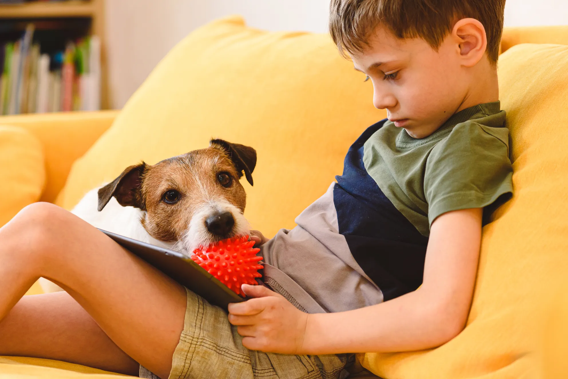 Best Pet Insurance in South Carolina