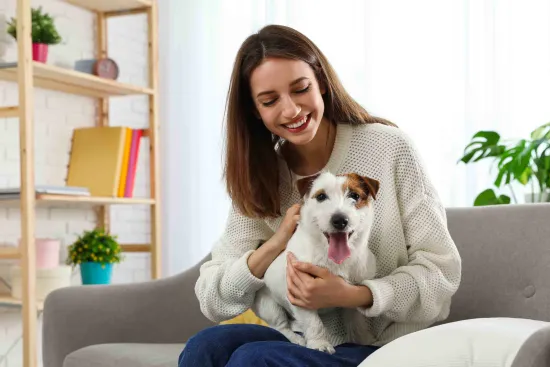 12 Pet Care Loyalty Programs: Earn Rewards for Taking Care of Your Best  Friend - MoneyPantry