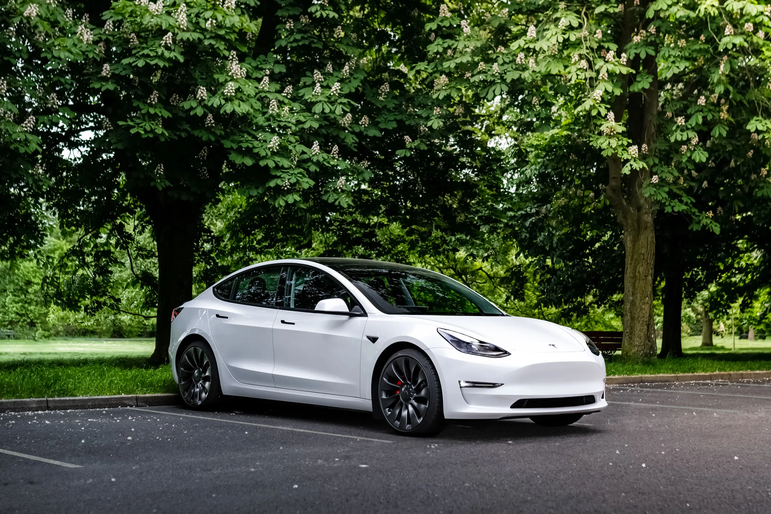 The Best Electric Cars of 2024 Nasdaq