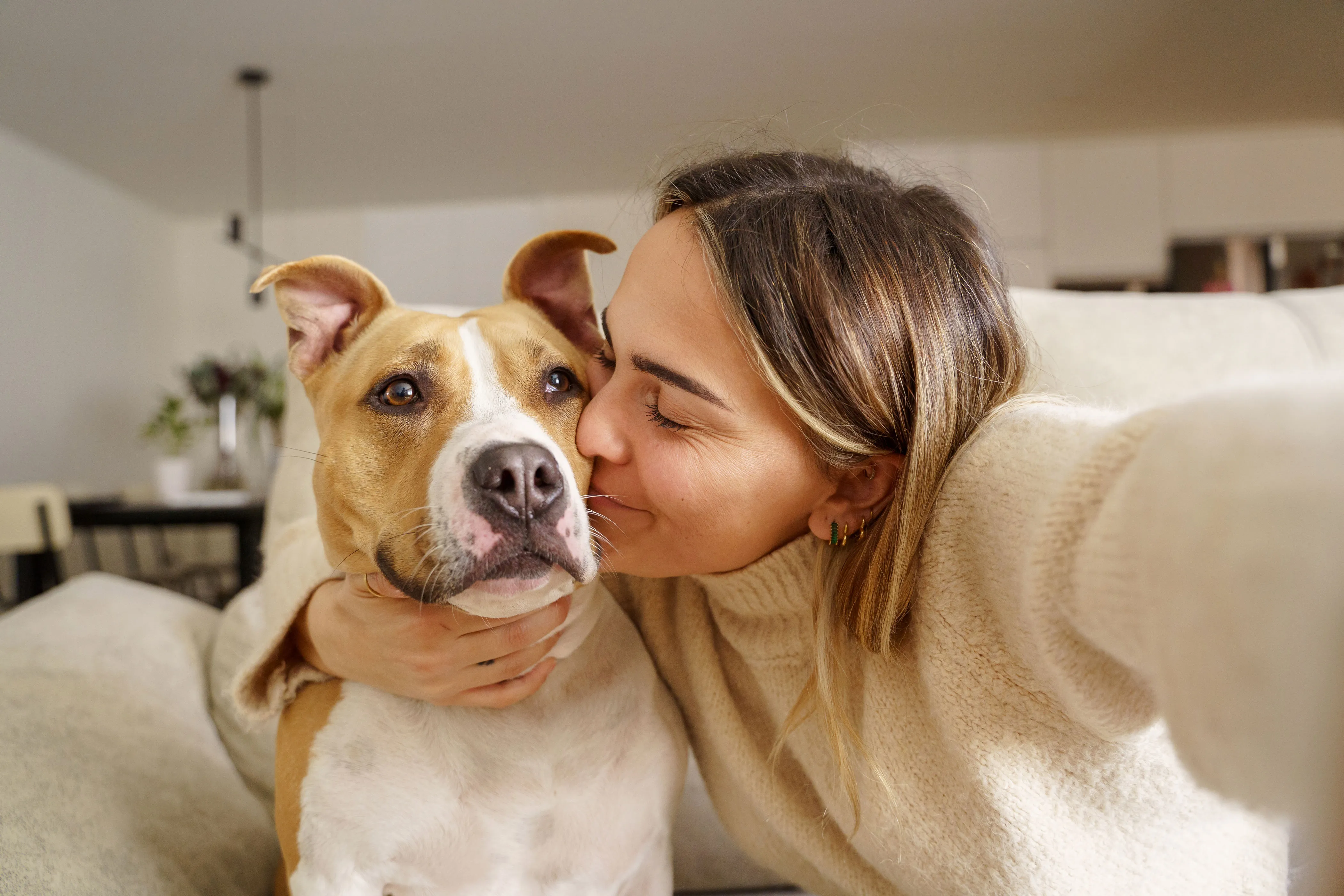 Best Pet Insurance in Connecticut