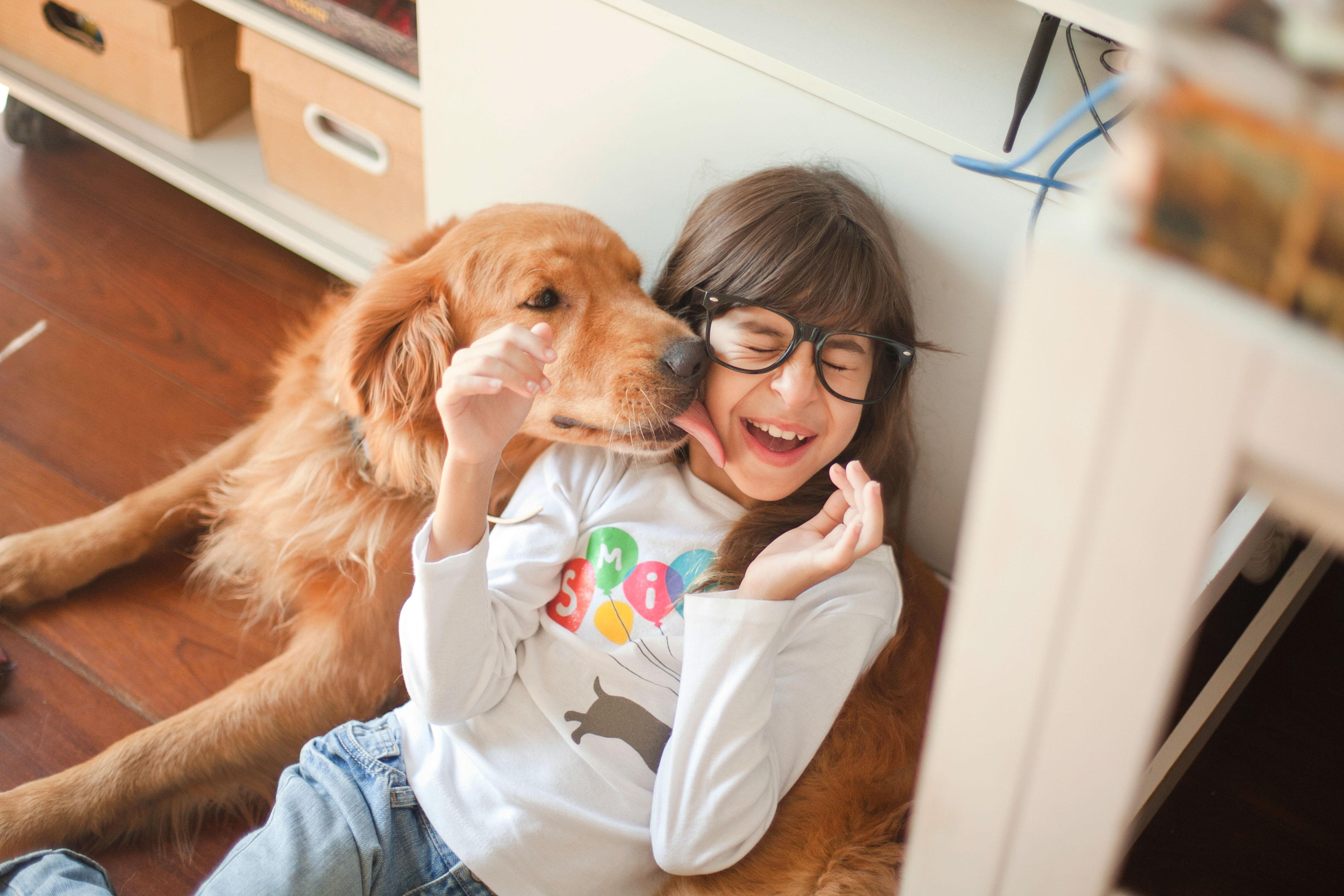 Best Pet Insurance in New Mexico
