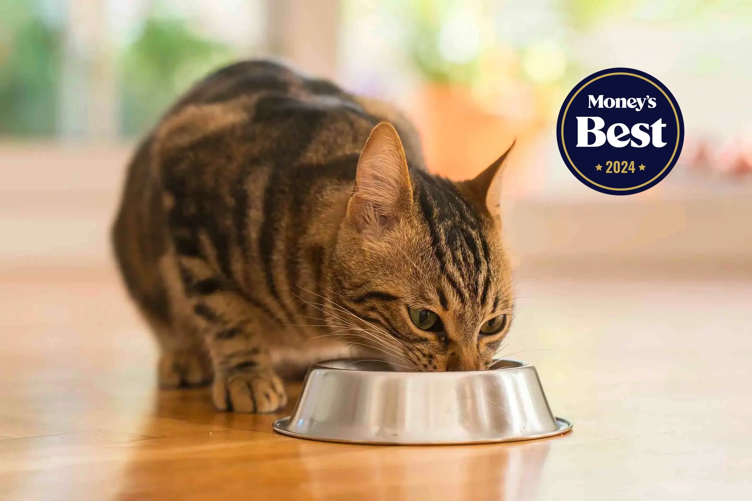 Consumer reports clearance best cat food