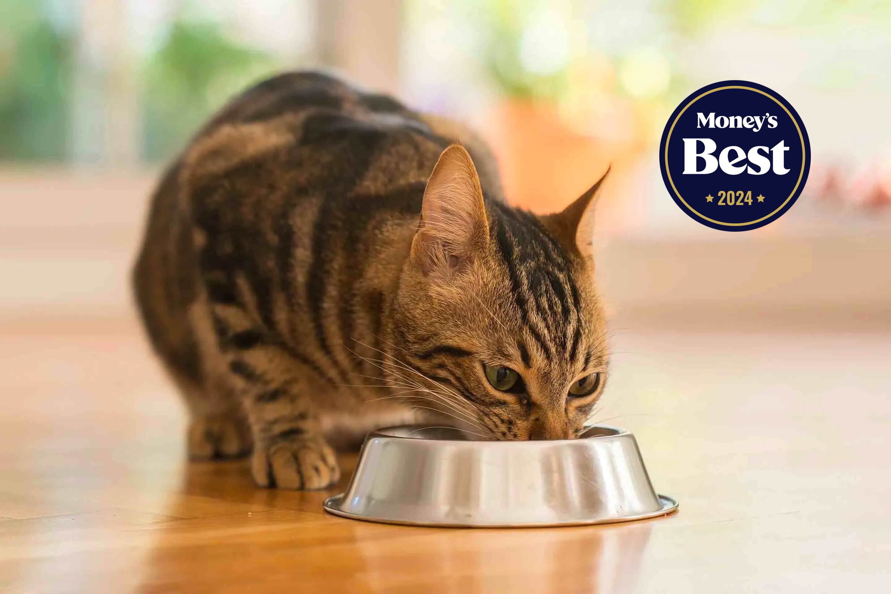 8 Best Cat Foods of 2024
