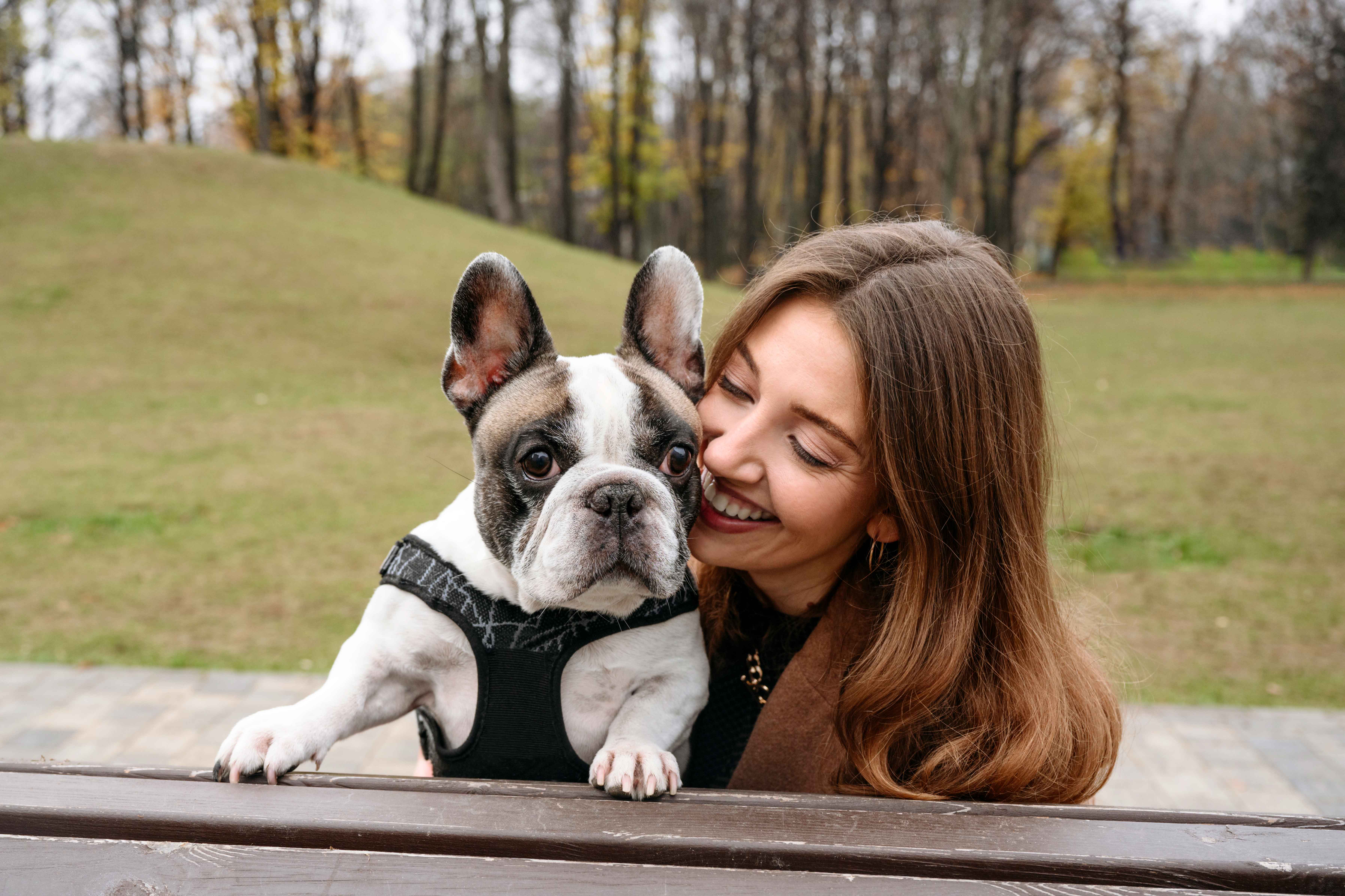 French Bulldogs Guide