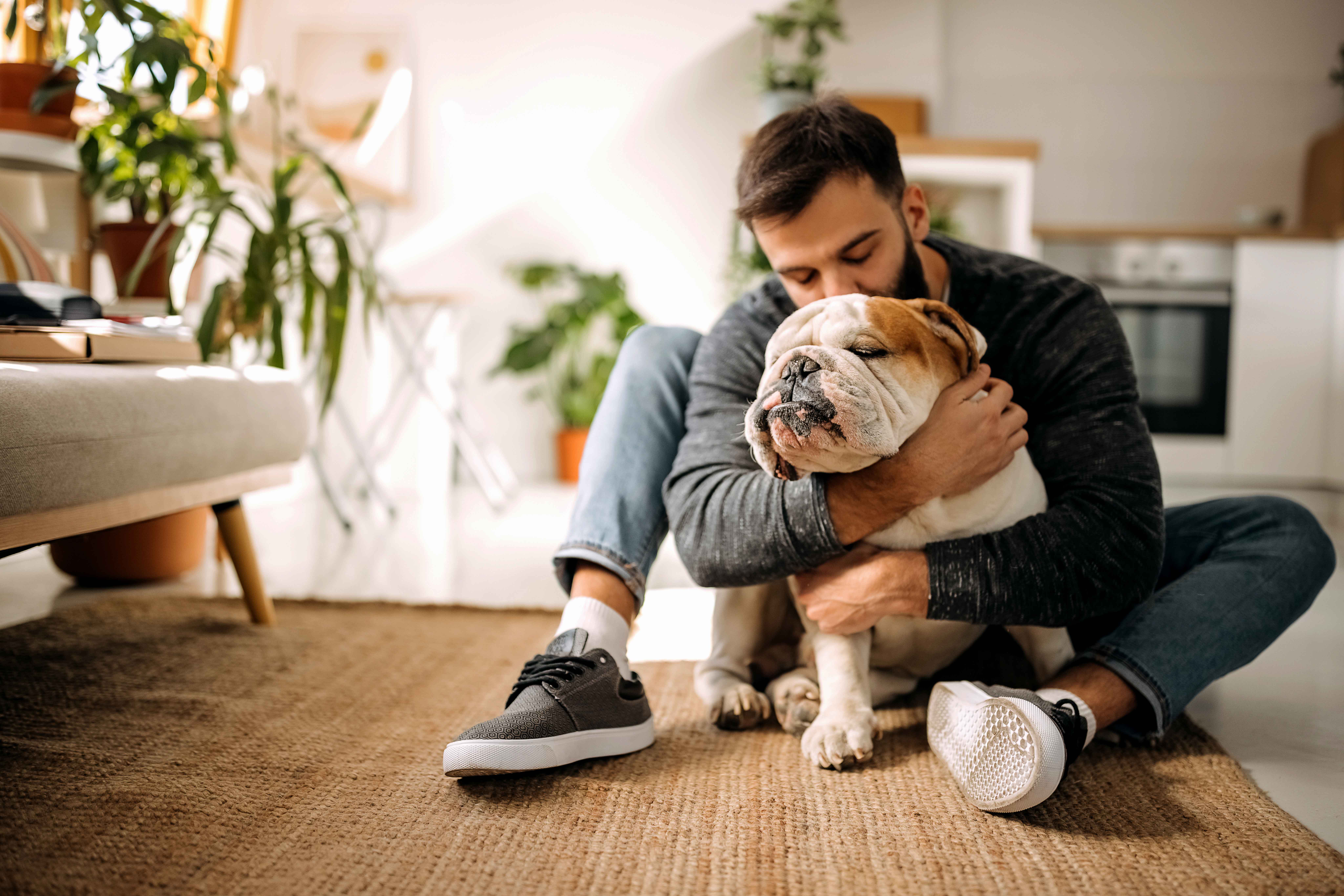 Man embracing his English Bulldog in his living room