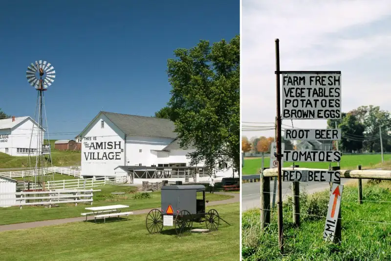 Amish countryside with handwritten signs in Lancaster