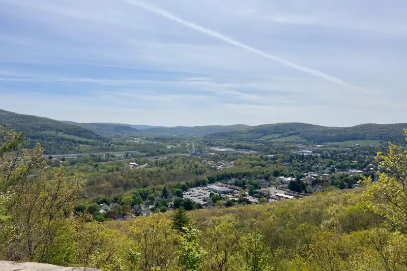 Aerial view of Oneonta NY