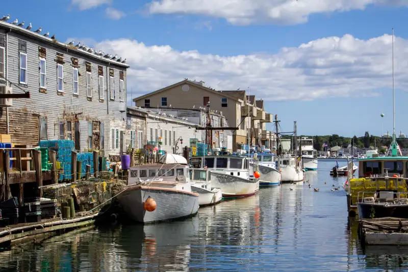 Boats docked in Portland, Maine