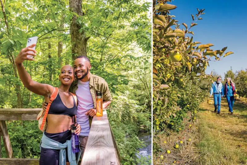 A couple taking a selfie outdoors and a couple walking down an apple orchard