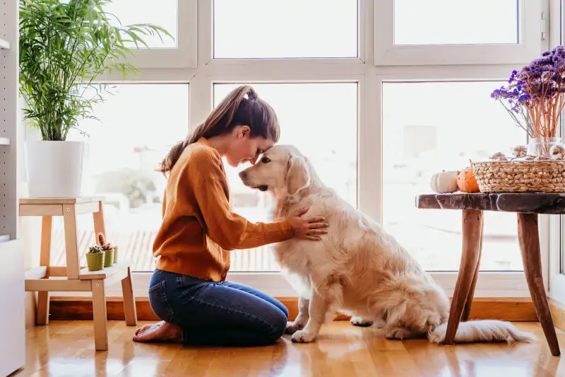 Woman and golden retriever at home