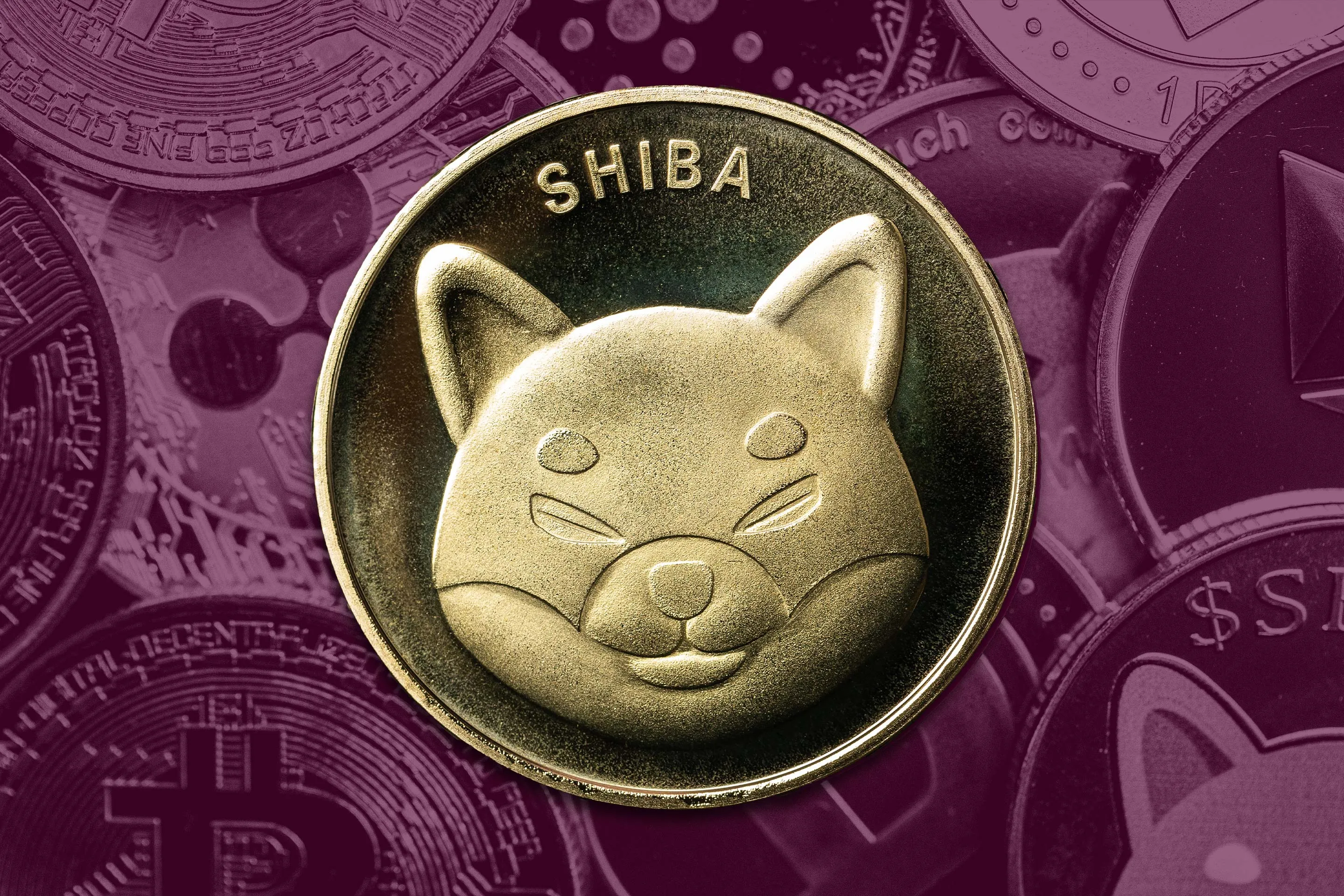 How and Where to Buy Shiba Inu