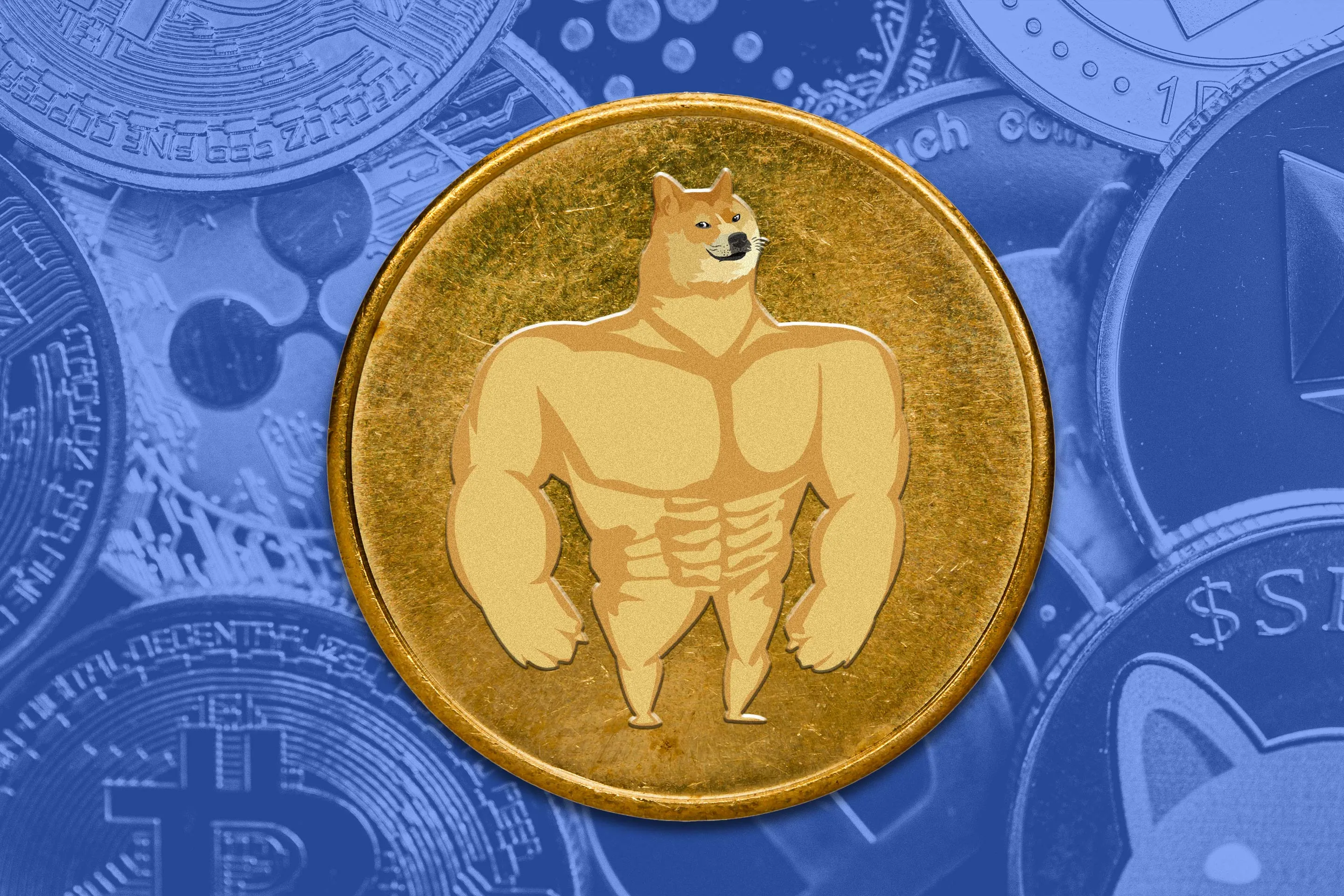 How to Buy Maxi Doge (MAXI)