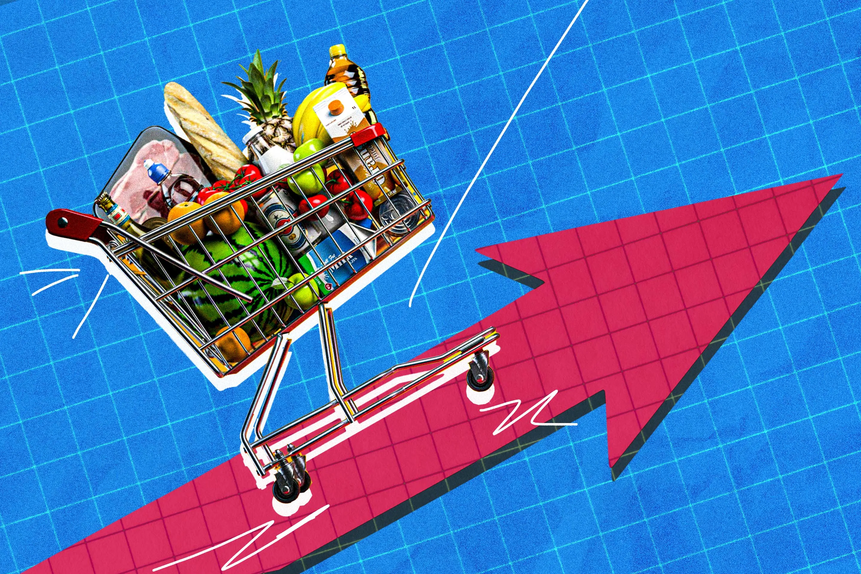 Grocery Prices Are 'Never' Coming Down, Experts Say