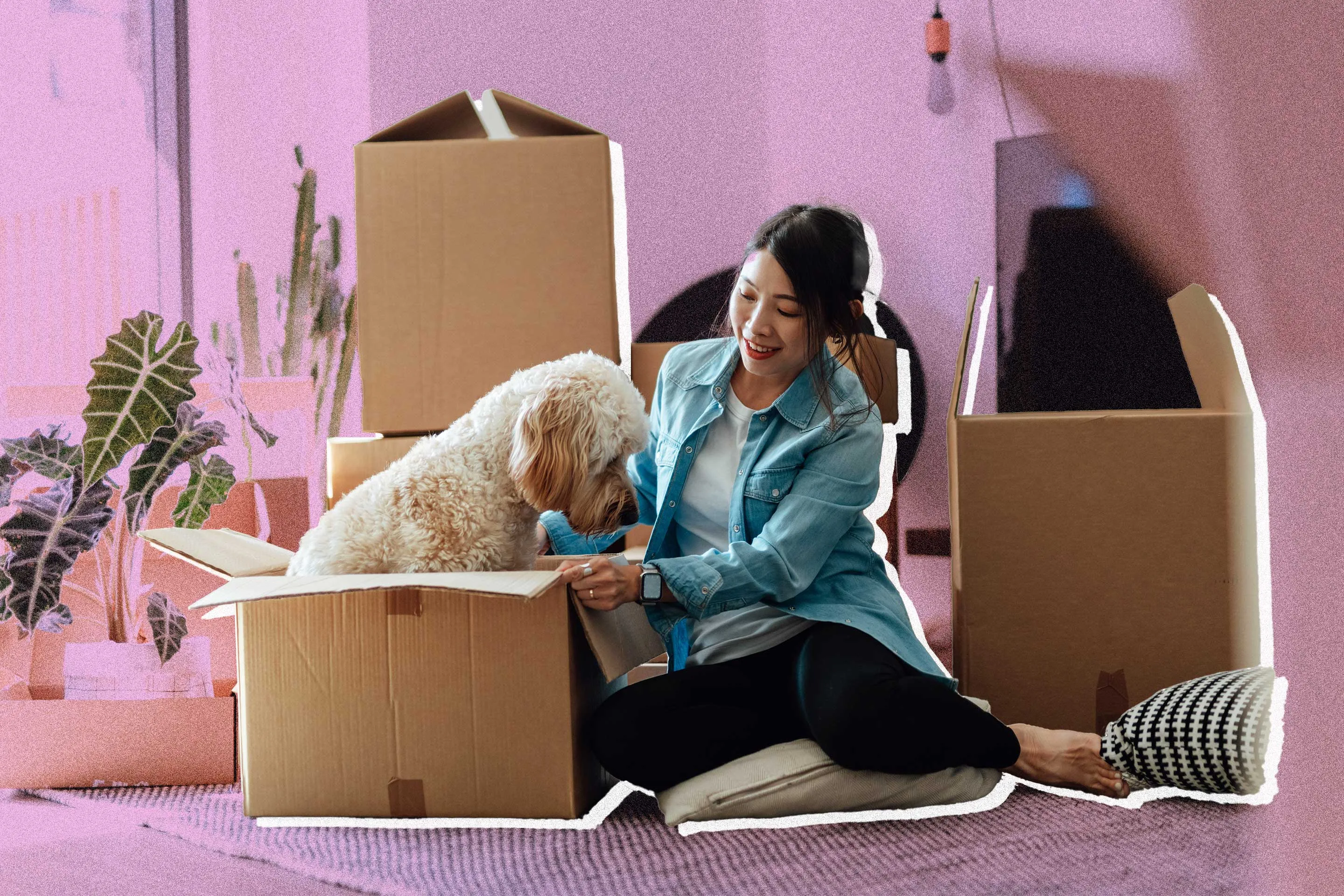 Renters Insurance vs. Pet Insurance: What’s Covered and What’s Not