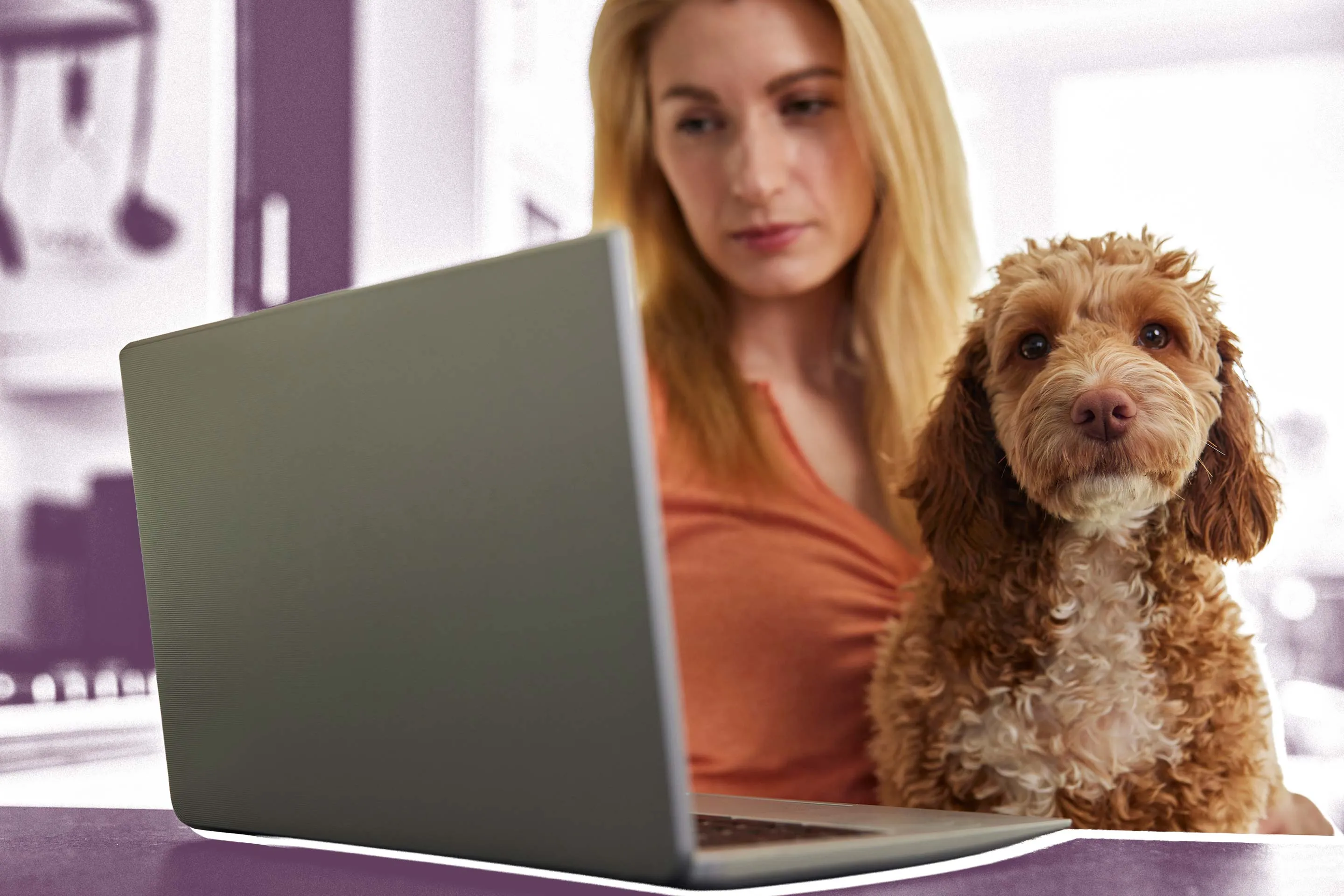 What to Do If Your Pet Insurance Claim Is Denied