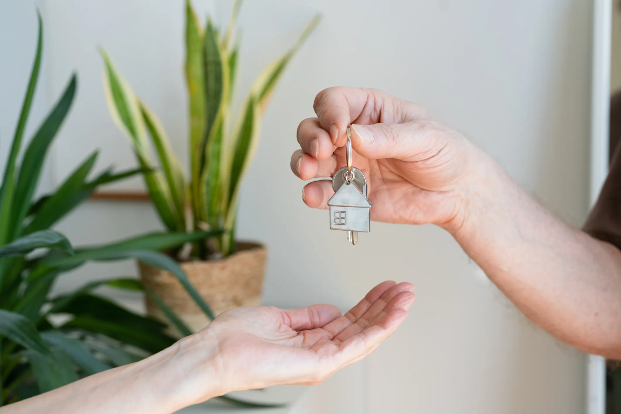 MoneyWireDaily — The New Rules of Renting in Retirement