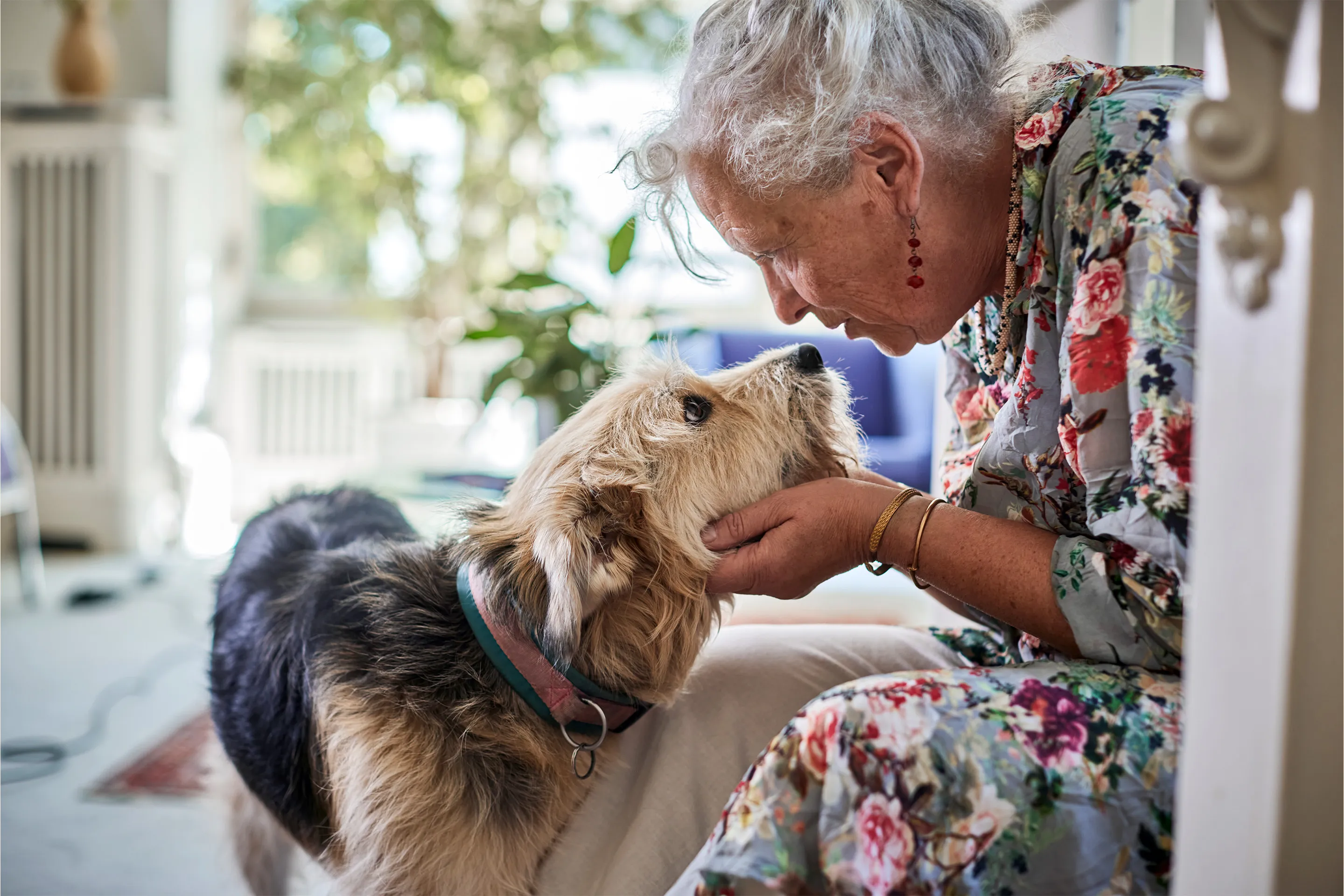 Most Pet Owners Would Do Anything for Their Pets. Not Everyone Can Afford To.