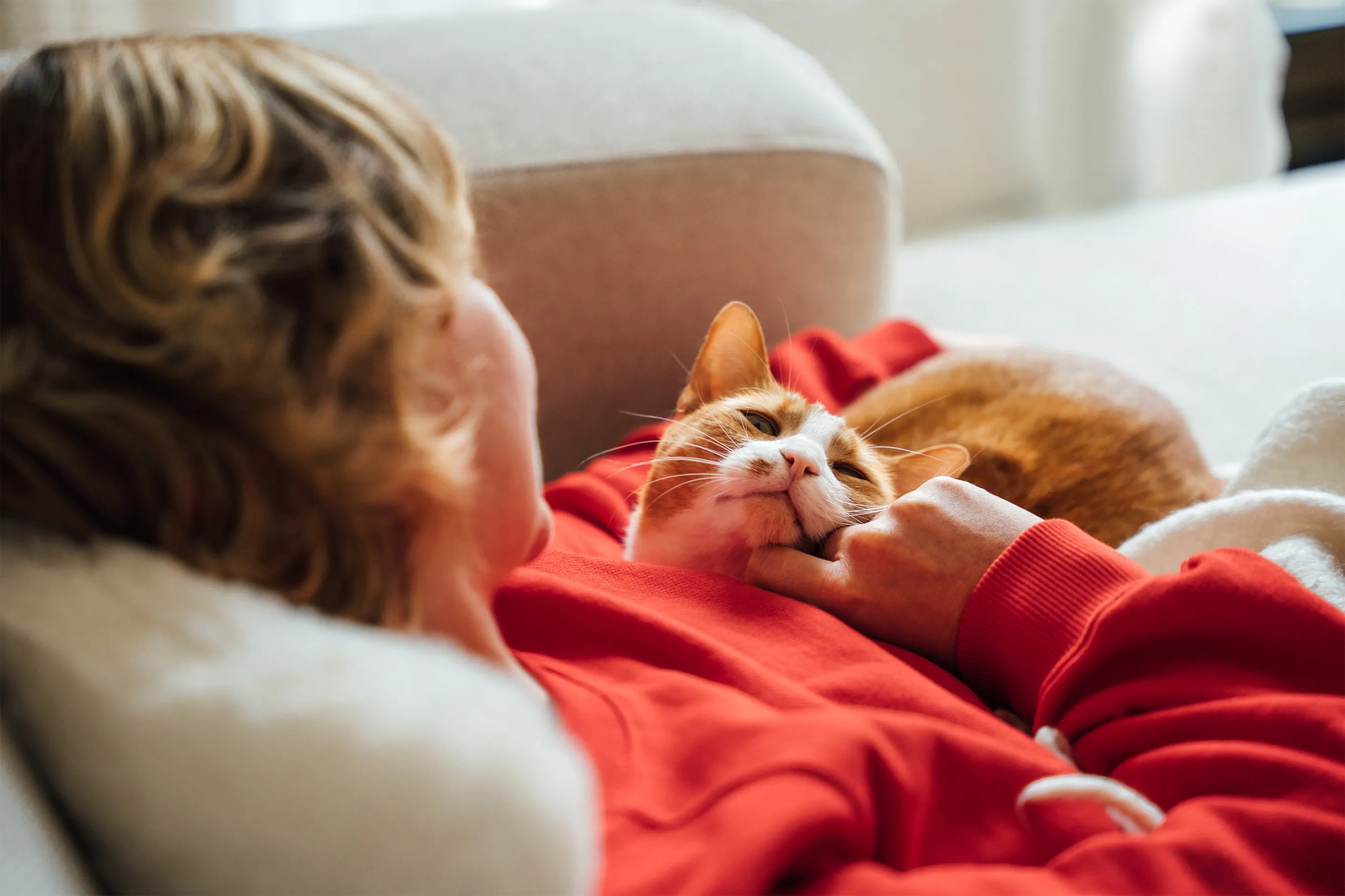 6 Costs to Budget for Before Getting a Pet