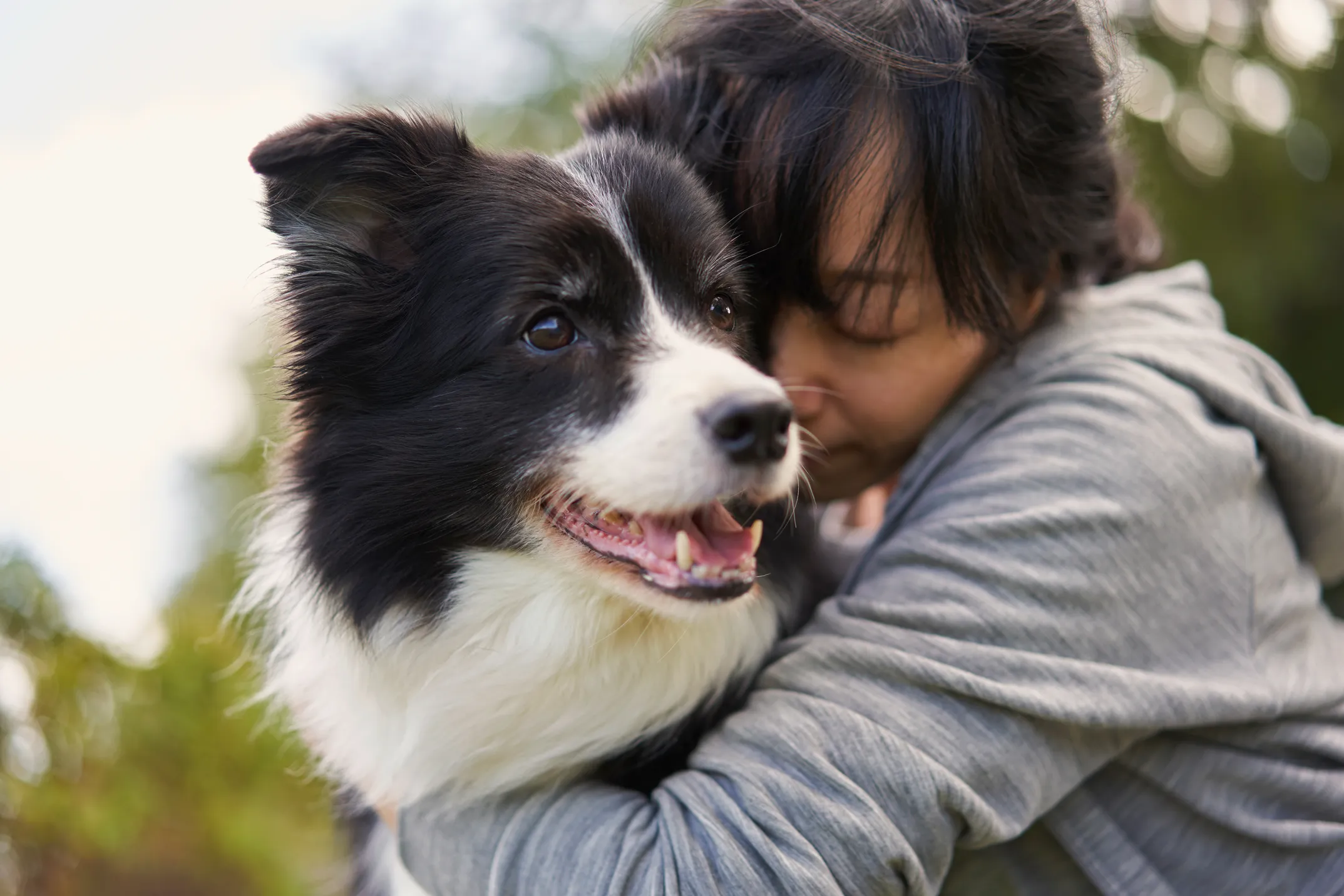 Why Don’t More People Have Pet Insurance?